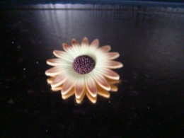 Kwiatek Margaretka duży żółty - 1 szt
