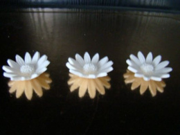 Kwiatek Margaretka mały biały 1 op ( 3 szt)