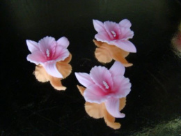 Orchidea -różowa - 1 op ( 3 szt.)