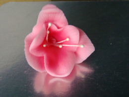 Kwiat frezja - różowa 1 szt