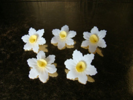 Narcyz - kwiatki z opłatka - biały 1 op ( 40 szt)