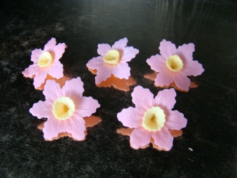 Narcyz - kwiatki z opłatka - różowy 1 op ( 40 szt)