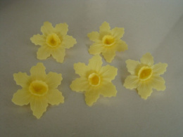 Narcyz - kwiatki z opłatka - żółty 1 op ( 40 szt)