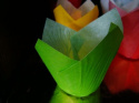 Papilot tulipan - mix kolorów 1 op ( 10 szt)
