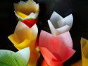 Papilot tulipan - mix kolorów 1 op ( 10 szt)