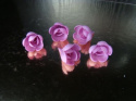 Róża angielska mała amarant 1 op (70 szt)