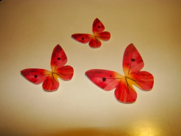 Motylki - cieniowany - różowy - 1 op (3szt)