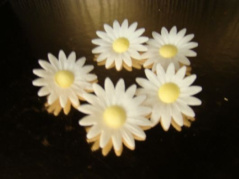 Kwiat margaretka biała 1 op (-5 szt)
