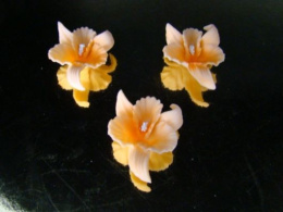 Orchidea -łososiowa 1 op ( 3 szt.)