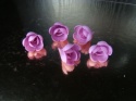 Róża angielska mała amarant 1 op ( 7 szt)