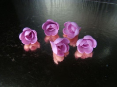 Róża angielska mała amarant 1 op ( 7 szt)