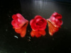 Róża angielska mała czerwona 1 op (7 szt)