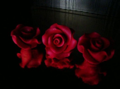 Róża duża bordowa -L N 1 op ( 3 szt)