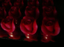 Róża duża bordowa - N 1 op ( 3 szt)
