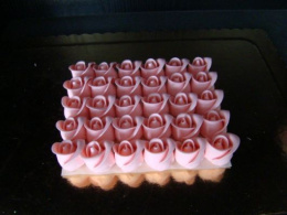 Róża średnia różowe 1 op (5 szt)