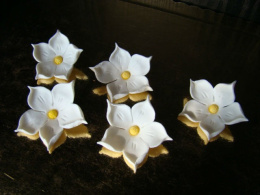 Jaśmin - kwiatek z cukru -biały 1 op ( 5 szt)