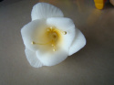 Kwiat frezja - biała 1 szt