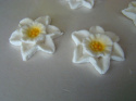 Kwiatek żonkil - białe 1 op ( 4 szt)