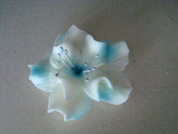 Magnolia - biało błękitna -1 szt