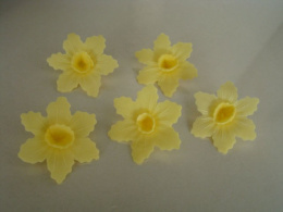 Narcyz - kwiatki z opłatka - żółty 1 op ( 5 szt)
