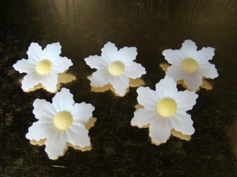 Sasanka - kwiatki z opłatka -biała 1 op ( 5 szt)