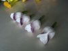 Tulipan krótki - biało fioletowy - 1 szt.