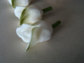 Tulipan krótki - biało zielony - 1 szt.