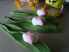 Tulipan na liściu biało fioletowy  - 1 szt.