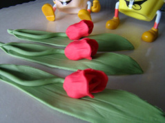 Tulipan na liściu czerwony - 1 szt.