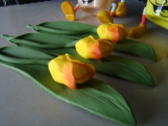 Tulipan na liściu herbaciany - 1 szt.
