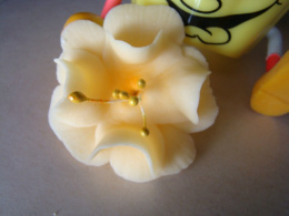 Magnolia mała - miodowa -1 szt