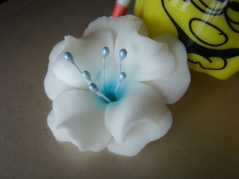 Magnolia mała - biało-niebieska-1 szt