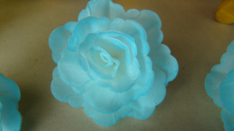 Róża Chińska - cieniowana niebieska (1 op- 3 szt)