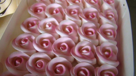 Róża średnia cieniowana - różowa 1 op ( 5 szt)