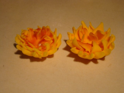 Astry - żółty 4,5 cm - ( 2 szt.) Astry - żółty 4,5 cm - ( 2 szt.)