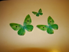Motylki - cieniowany - zielony - 1 op (3szt)