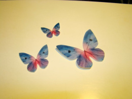 Motylki - cieniowany - niebieski - 1 op (3szt)