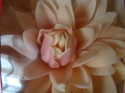 Kwiat Dalia - cieniowana pudrowa 1 op ( 1 szt)
