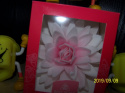 Kwiat Aster peoniowy - cieniowany różowy 1 op ( 1 szt)