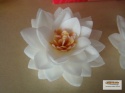 Kwiat lotosu - biały 1 op (15 szt)