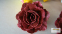 Róża Chińska - cieniowana burgund (1 op- 18 szt)