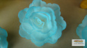 Róża Chińska - cieniowana niebieska (1 op- 15 szt)