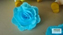 Róża Chińska - niebieska (1 op- 15 szt)